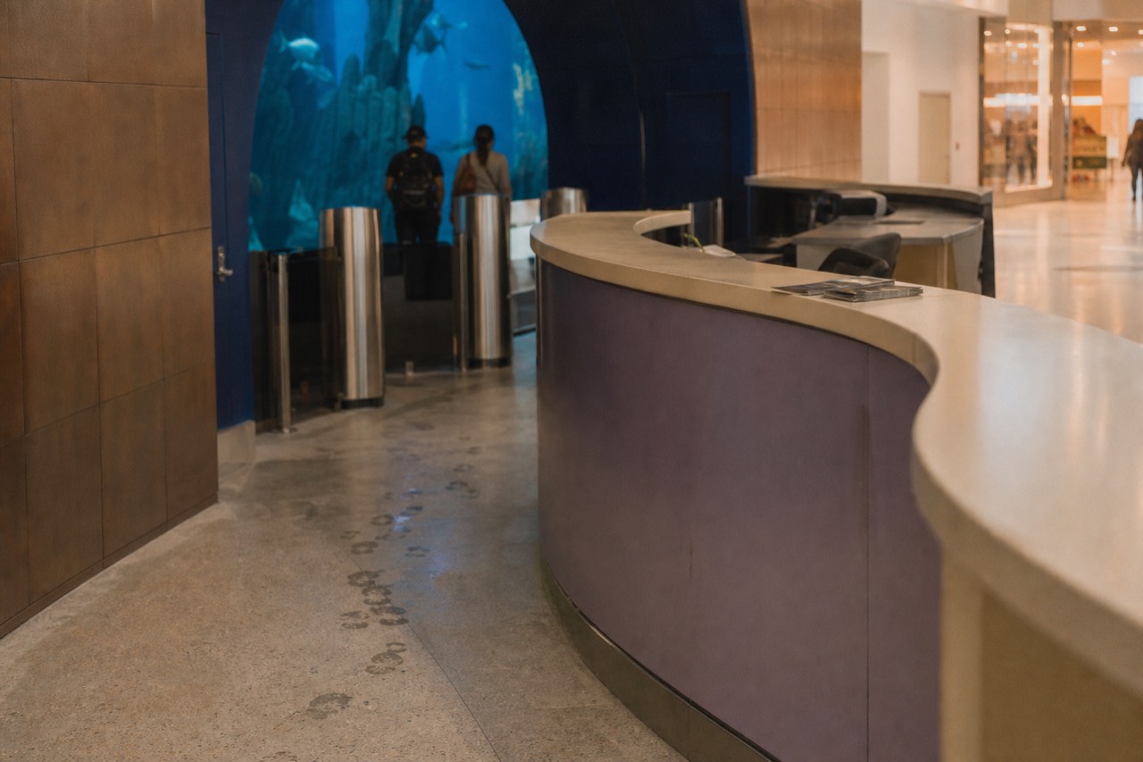 Ticket counter and entrance corridor of a mall basement aquarium, no text, no logos, no people.