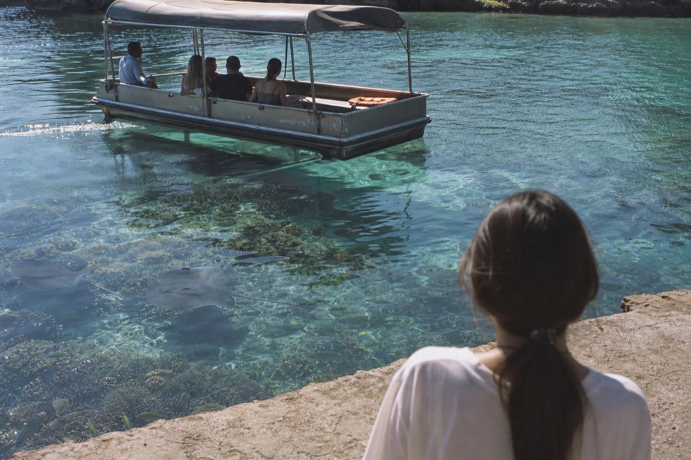 A glass bottom boat drifting over a coral reef tank with rays and reef fish below, no text, no logos, no people