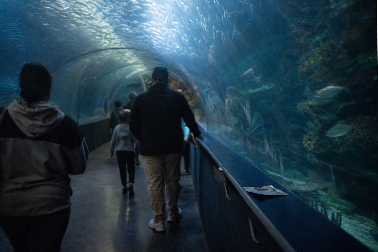 Visitors walking through a dimly lit underwater tunnel with fish swimming overhead, no text, no logos, no people