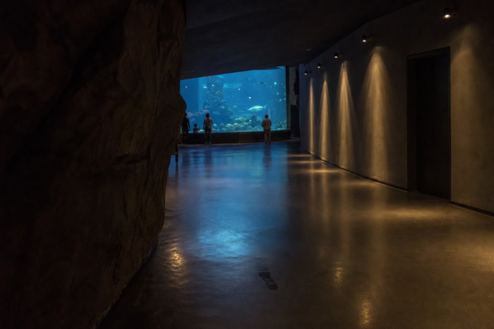 An empty aquarium corridor with a large curved tank glowing blue in low light, no text, no logos, no people