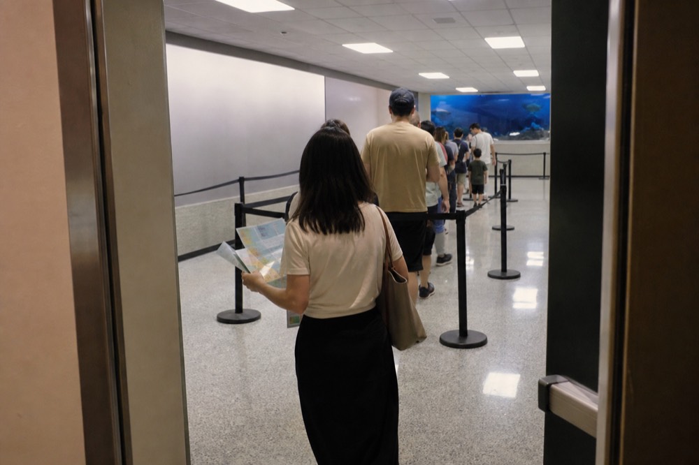 Ticket queue area outside an aquarium entrance in a shopping mall basement, no text, no logos, no people