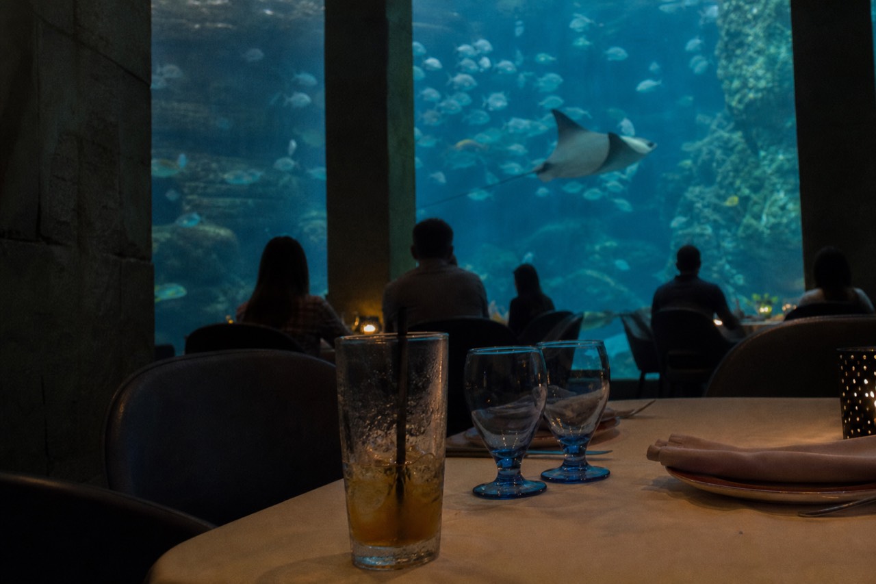 Diners seated at tables beside a tall illuminated aquarium tank filled with rays and schooling fish, no text, no logos, no people.