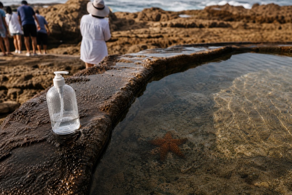 A shallow rockpool with starfish visible through clear water under soft lighting, no text, no logos, no people.