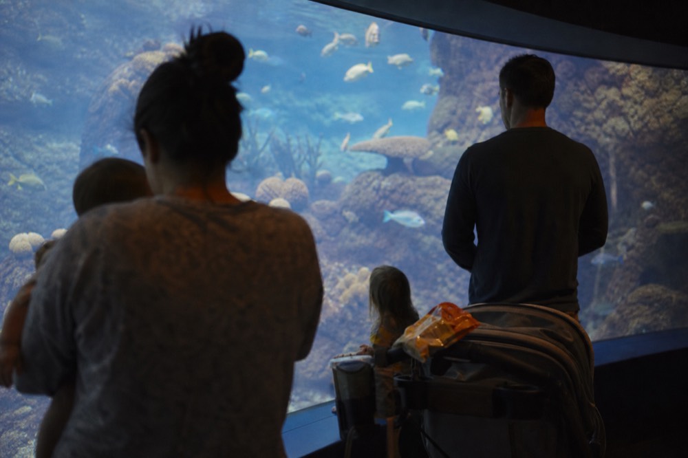 Family with children looking into a bright aquarium tank, no text, no logos, no people.
