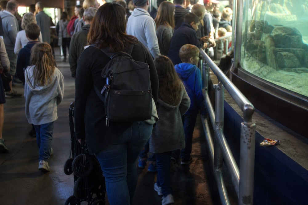 Crowded walkway inside the aquarium, no text, no logos, no people