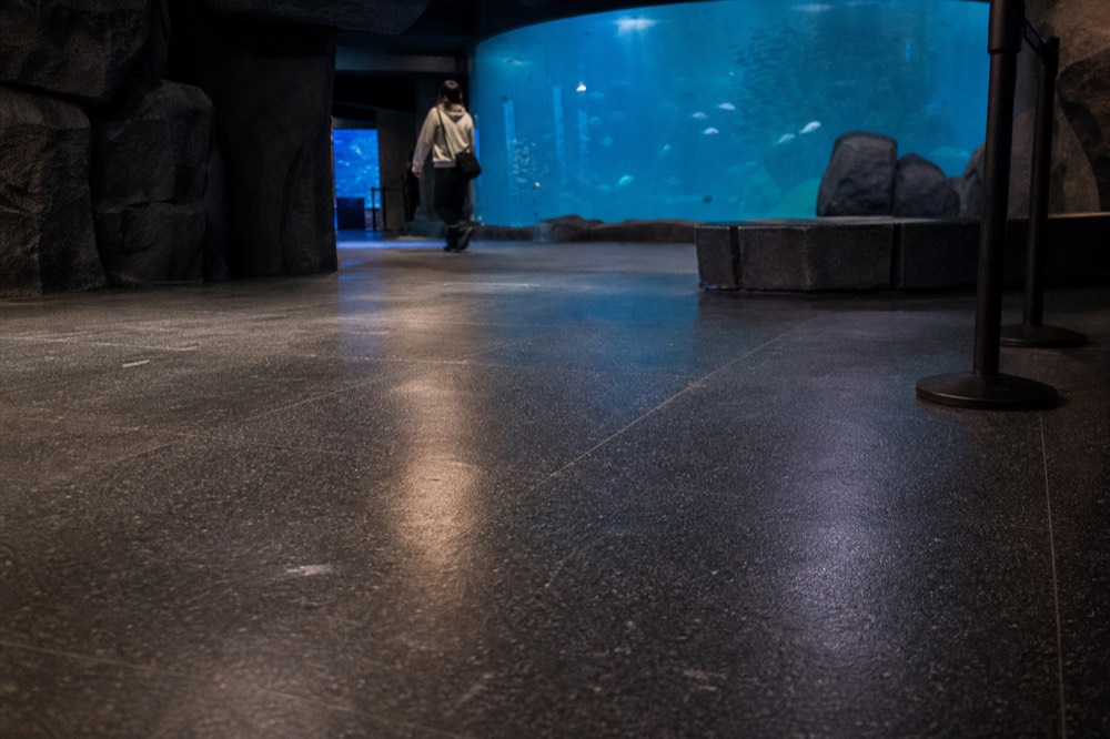 Entrance to SEA LIFE Bangkok with shark walk sign, no text, no logos, no people