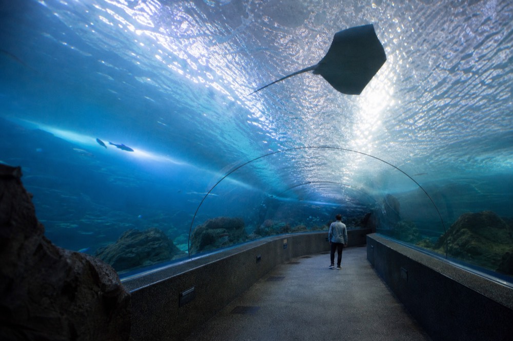 A quiet morning view of the Ocean Tunnel with few visitors, no text, no logos, no people