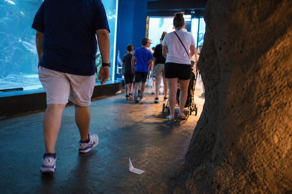 Busy walkway inside SEA LIFE Bangkok with visitors moving between zones, no text, no logos, no people