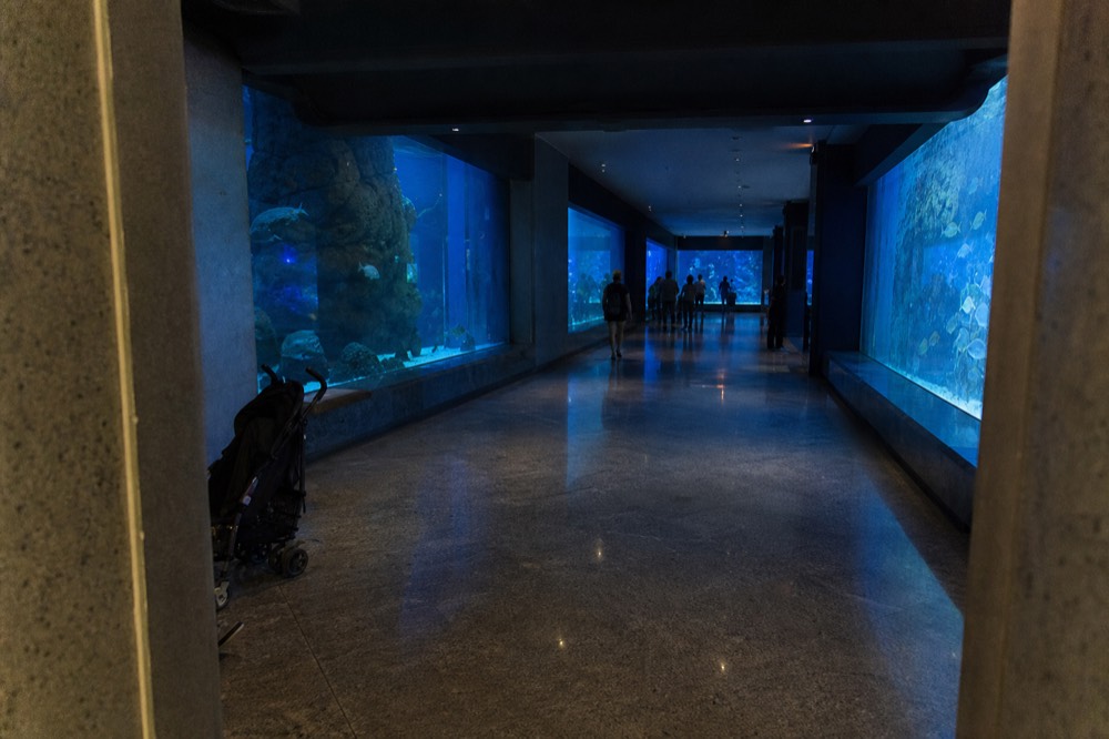 A wide indoor aquarium hall with large tanks and dim blue lighting, no text, no logos, no people