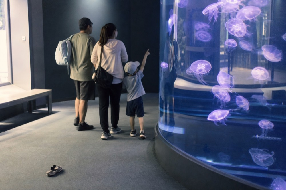 A family with a child pointing at a bright jellyfish display tank, no text, no logos, no people