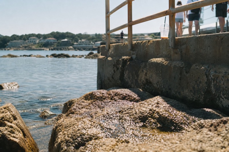 Spotlights over the rocky shore penguin pool, water beading on dark rock, a paper cup left on the viewing rail in the foreground.